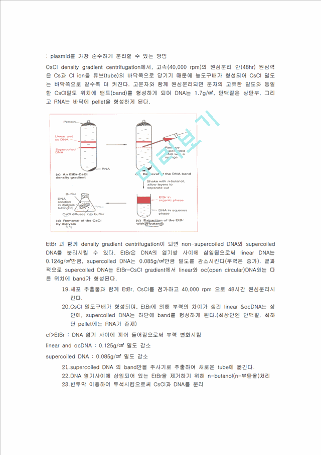 [의학,약학] [미생물학 실험] 세포로부터의 DNA 분리, 정제.hwp